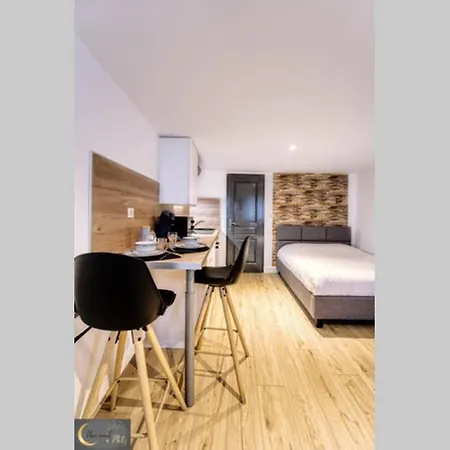 Mignon Au Coeur De Appartement *